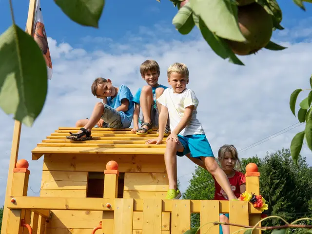 Kinder spielen im Sommer auf dem Spielturm am Hof 