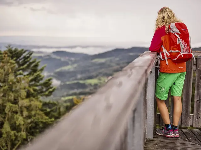 Waldwipfelweg Aussicht vom Waldwipfelweg in Sankt Englmar