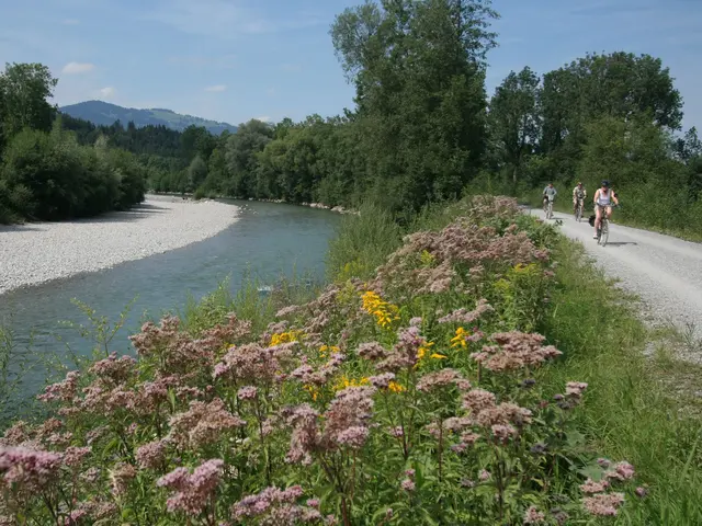 drei Radler entlang der Iller zwischen Fischen und Sonthofen
