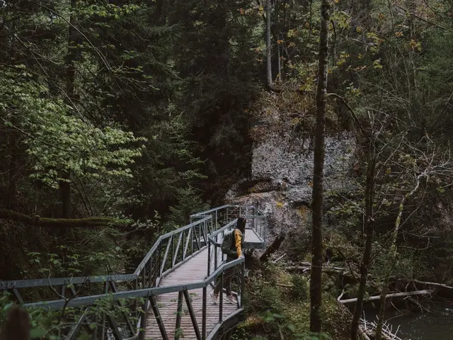 Blick in den Eistobel im Allgäu mit dichtem Wald und Bachlauf in der Tobelschlucht.