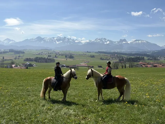 Allgäuer Bergkulisse mit Haflingern - © Nicole Stadler, Seeg Zwei Frauen sitzen auf Haflinger‑Pferden auf einer grünen Wiese. Im Hintergrund sind Felder, Dörfer und eine Bergkette im Allgäu unter blauem Himmel zu sehen.