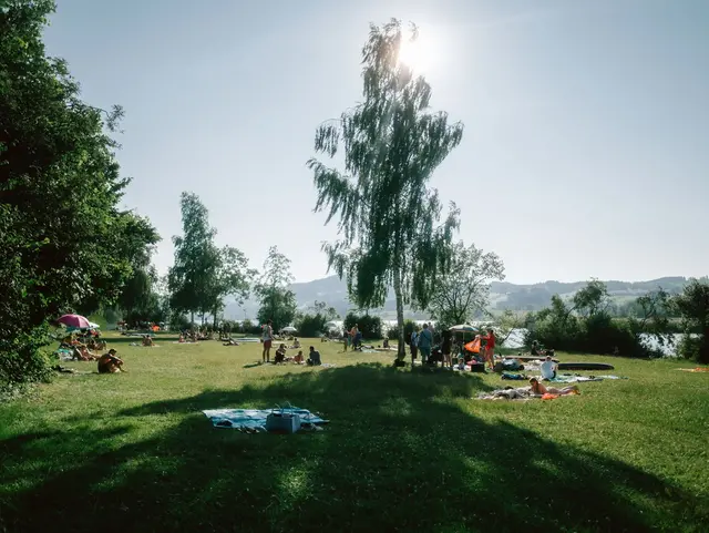 Menschen genießen die Sonne auf der Liegewiese am Niedersonthofener See – entspannte Sommertage beim Urlaub auf einem Bauernhof oder Landhof im Allgäu.