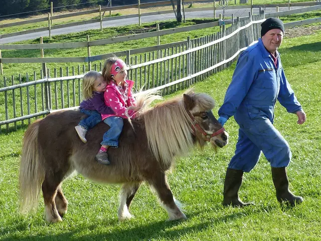 Ponyführungen für kleine pferdefans