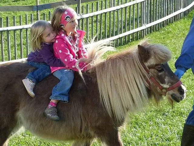 Ponyführung am Bauernhof - © Ferienhof Dopfer, Nesselwang Ponyführungen für kleine pferdefans