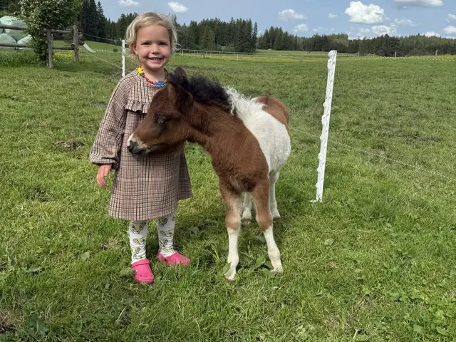 Mädchen mit Pony - © Nicole Stadler, Seeg Ein Mädchen steht auf einer Wiese neben einemFohlen, das sich an das Kind anlehnt. Die Szene spielt auf einer Weide mit Zaunpfosten, Bäumen und weiter Landschaft. Der Himmel ist hell mit einzelnen Wolken.