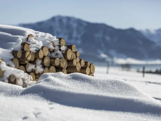 schöne Aussicht in den Schnee