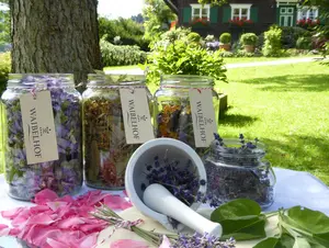 Selbstgemachte Kräutertees