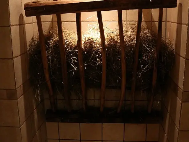 Heudampfsauna - © Wellness-Ferienhof Lang Heudampfsauna auf dem Wellness-Ferienhof Lang in Bad Wörishofen im Allgäu