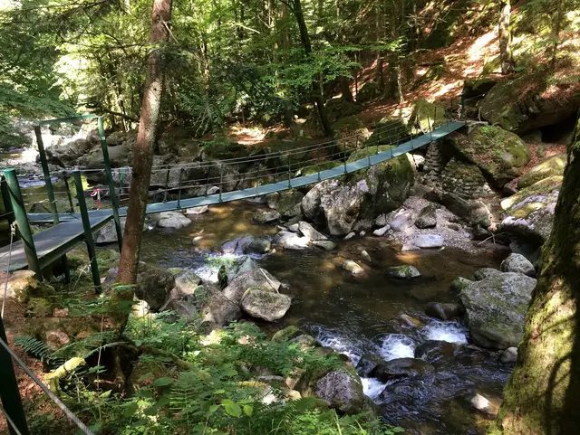 Buchberger Leite - © Tourismusverband Ostbayern e.V. Naturerlebnisse an der Buchberger Leite