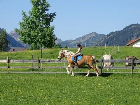 Haflingerhof Kematsried © www.haflingerhof.de Reitunterricht am Haflingerhof Kematsried