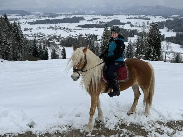 Reiten im Winter - © Nicole Stadler Eine Person sitzt auf einem hellbraunen Pferd auf einem verschneiten Weg. Im Hintergrund erstreckt sich eine winterliche Landschaft mit schneebedeckten Feldern, Wäldern und einem Dorf in einem Tal unter bewölktem Himmel.