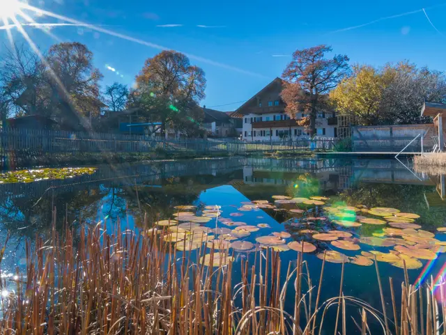 Badeteich Ferienhof Hirsch - © Ferienhof Hirsch